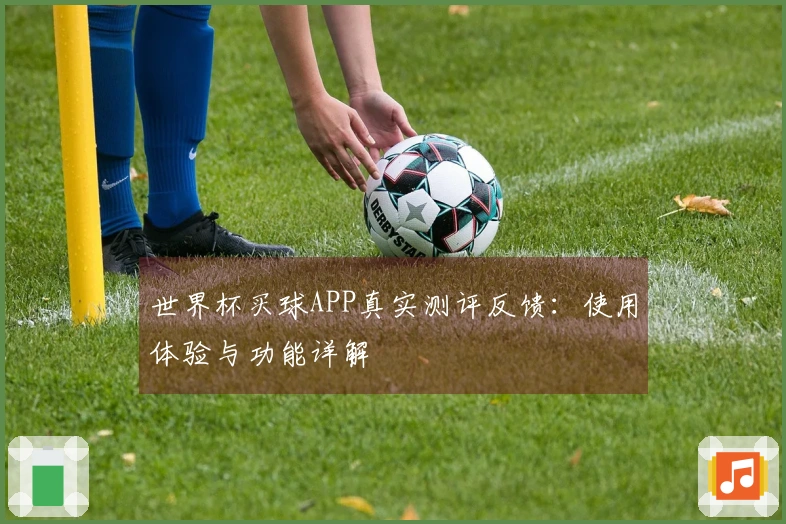 世界杯买球APP真实测评反馈：使用体验与功能详解