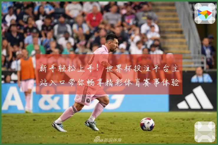 新手轻松上手！世界杯投注平台主站入口带你畅享精彩体育赛事体验