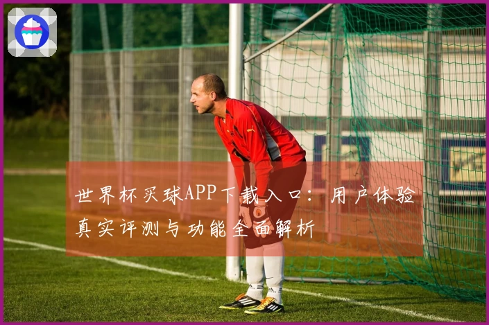 世界杯买球APP下载入口:用户体验真实评测与功能全面解析