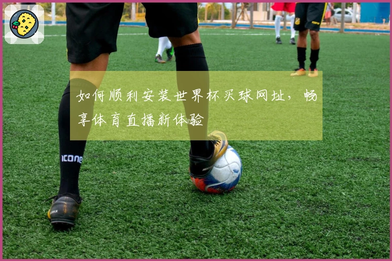 如何顺利安装世界杯买球网址，畅享体育直播新体验