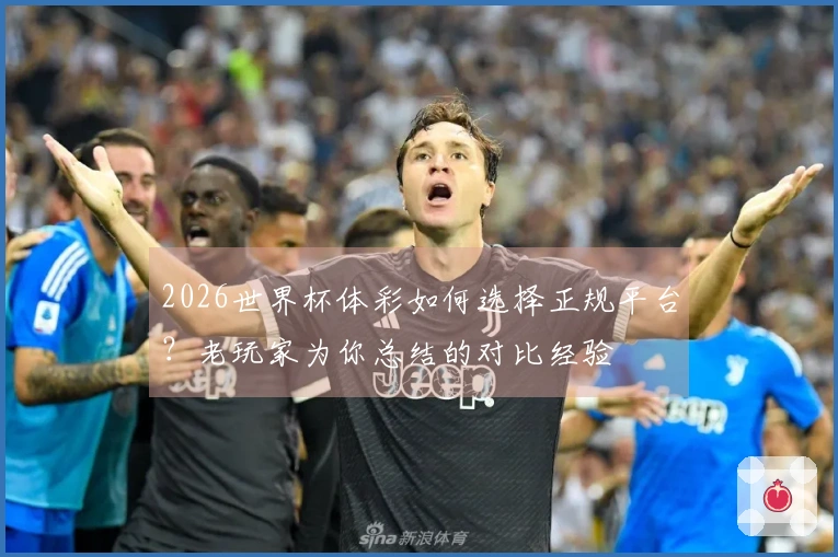 2026世界杯体彩如何选择正规平台？老玩家为你总结的对比经验
