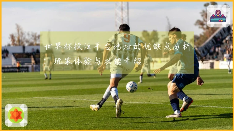 世界杯投注平台地址的优缺点分析:玩家体验与功能介绍
