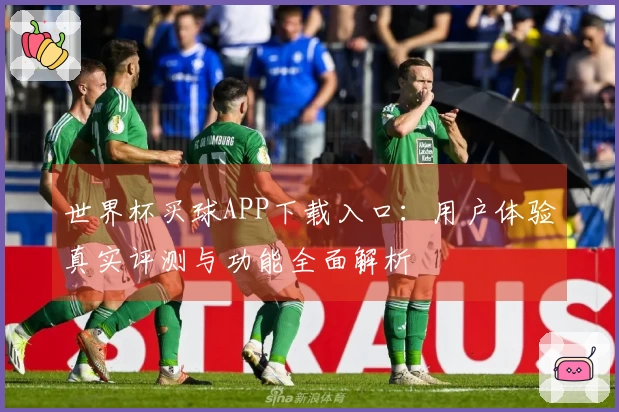世界杯买球APP下载入口：用户体验真实评测与功能全面解析
