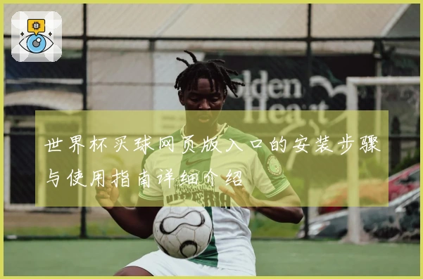 世界杯买球网页版入口的安装步骤与使用指南详细介绍