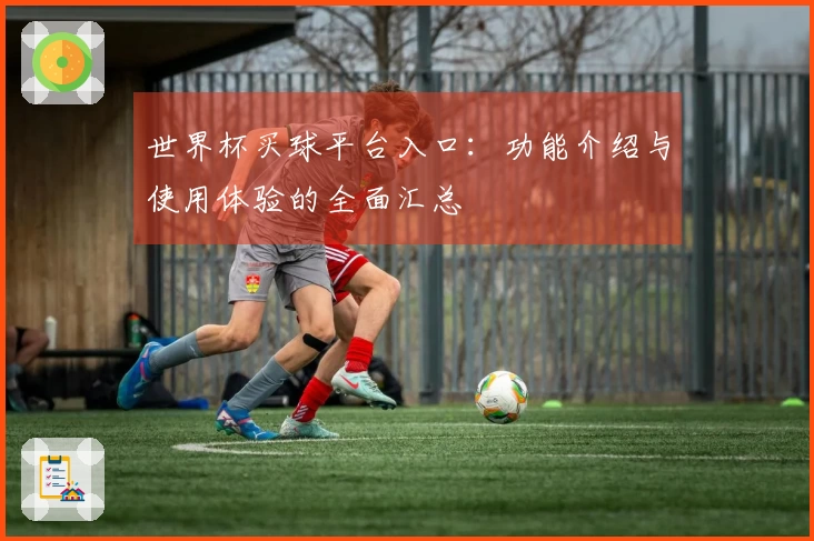 世界杯买球平台入口：功能介绍与使用体验的全面汇总