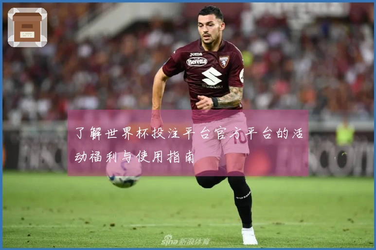 了解世界杯投注平台官方平台的活动福利与使用指南