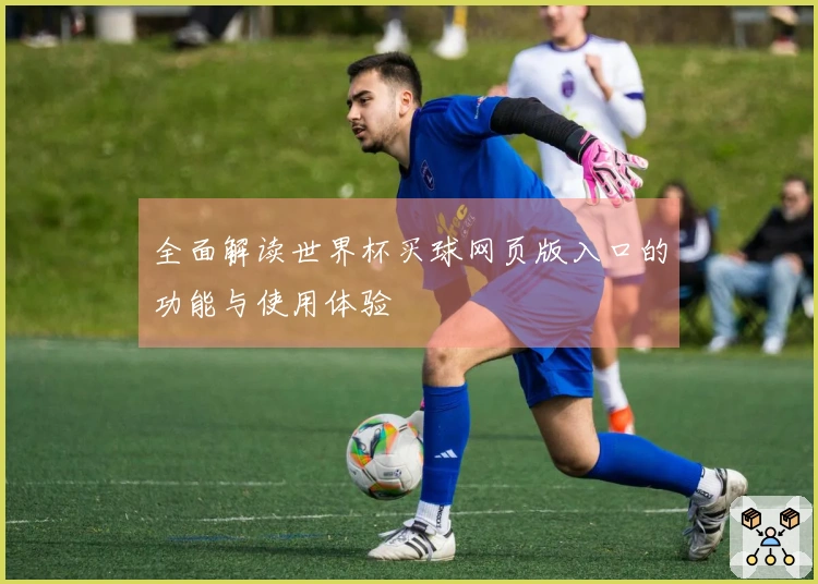 全面解读世界杯买球网页版入口的功能与使用体验