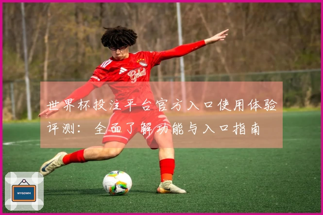 世界杯投注平台官方入口使用体验评测：全面了解功能与入口指南