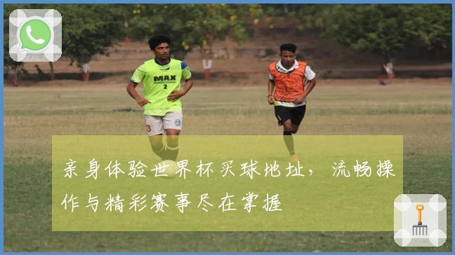 亲身体验世界杯买球地址，流畅操作与精彩赛事尽在掌握