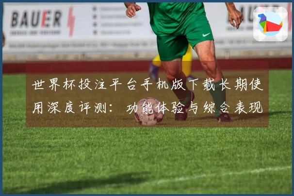 世界杯投注平台手机版下载长期使用深度评测：功能体验与综合表现全方位解析