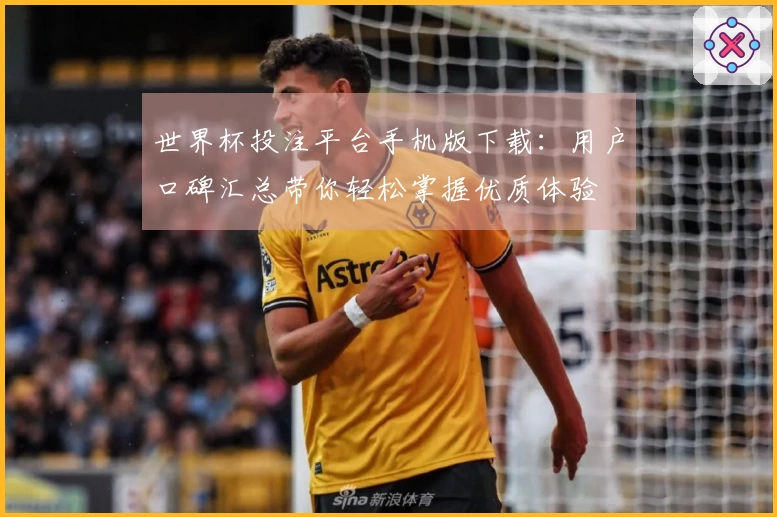 世界杯投注平台手机版下载：用户口碑汇总带你轻松掌握优质体验