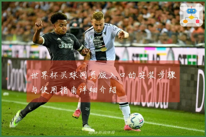 世界杯买球网页版入口的安装步骤与使用指南详细介绍
