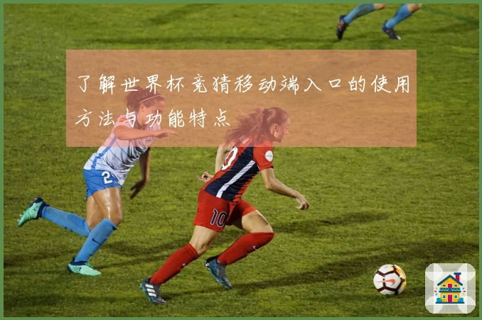 了解世界杯竞猜移动端入口的使用方法与功能特点