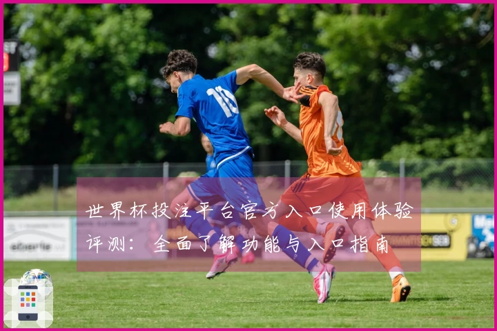 世界杯投注平台官方入口使用体验评测：全面了解功能与入口指南